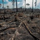 (주)삼림 이미지