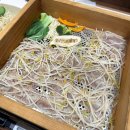 르노삼성자동차 서비스코너 화명점 | 화명 샤브샤브 추천 편백찜 무료 샤브테이 메뉴 가격 주차