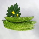 미림농원 이미지