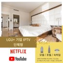 유플러스(U+)모텔 네이버블로그