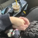 수연 약수터 | 신혼쀼의 주말 일상♥️ 할무니네 놀러 갔다가 갑자기 말 타고 스케이트 타고