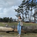 백수목장 이미지