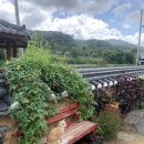 풀솜할머니 이미지