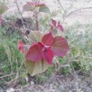 새순농장 이미지