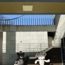 고양장미란체육관 스쿼시장 | 고양 장미란체육관 스쿼시 무료로 이용하기 / 토요일 일일입장 및 예약 방법