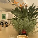 상록수패션 이미지