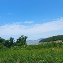 김진욱 공인중개사사무소 이미지