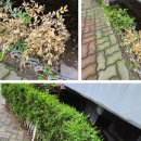 동남구보건소 정신건강복지센터 (별관 3층) | 전국민 마음투자 지원사업