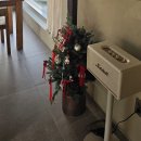 시고르 | 강아지랑 다녀온 메종드시고르 별채 내돈내산 솔직후기