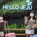 환영키친 앤 게스트하우스 이미지