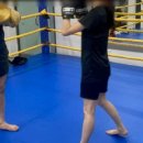 팀맥 스타짐 이미지