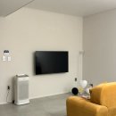 풀돌나무 이미지