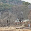 함안 대송리 늪지식물 이미지