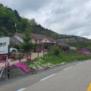 명신사 이미지