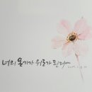 캘리그라피취미반 이미지