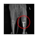 S동물의료센터 이미지