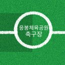 응봉체육공원 이미지