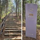 [관광 명소 탐방] 서울 근교 동두천 자연휴양림 1일 피크닉으로 힐링 여행 완성