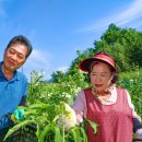 오선농장 이미지