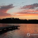 6시내고양이 이미지