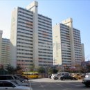 주은청설아파트앞 이미지