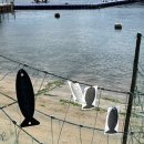 외포농장 이미지