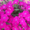 빛날시간 이미지