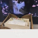 월이집