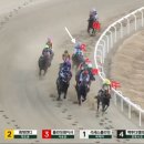 파인팜(주) | 레이스 후기