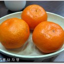 사파이어호텔 이미지