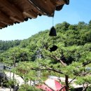 (주)굿모닝여행