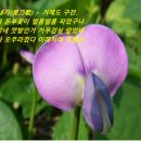 경남 거제도 고전 한글작품. 2016년 작성 이미지