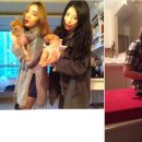 쟈뎅드마망 이미지