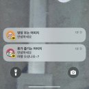 유우시 고향에서 행복을 찾았어요 !
