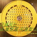 황금불판 이미지