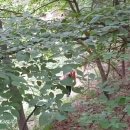 관악산역 이미지