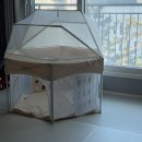 이지라이프 | 제품 리뷰] 리틀라이프 이지 폴딩 베이비룸 내 돈 내산 솔직 후기!