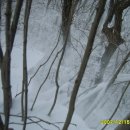 아듀 2007 백두대간 산행(12월 15일, 칠갑산과 함께고치령에서 마구령까지) 이미지