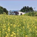 가평 양떼목장 이미지