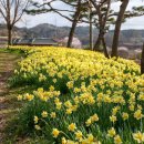 거북이동산 이미지