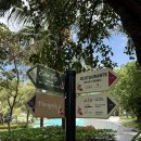 다와떡볶이 | [푸꾸옥] 프리미어 빌리지 푸꾸옥 리조트: 더마켓 조식