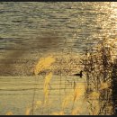 호수의오후 이미지