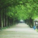 동화 속 요리세상 | 익산 아가페정원, 담양 메타세쿼이아길 안 부러운 숨은 감성 여행지