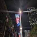 시드니 오페라 하우스가 빛으로 물든 밤, 비비드 축제 Vivid Sydney 총정리
