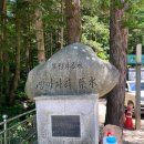 박동약수터 | 오대산 평창 밀브릿지 방아다리약수터 입장료 및 약수물 음용후기