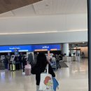 (주)에코센트릭 | 뉴욕여행 - Jetblue(젯블루),타임스퀘어 하얏트센트릭 호텔, 한인타운 북창동 순두부👻