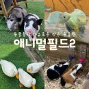 더벤티 김천아포점 | 김천 아포 ‘애니멀필드2’ 귀여운 동물들 실내체험 아이와 가볼만한곳