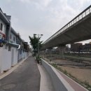 길음드림약국 | 홍릉숲 혹은 홍릉수목원....후기 아닌 후기...