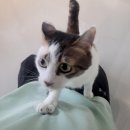 아이조아요양보호소 동탄점 이미지