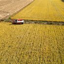 바로미의원 | 농민신문 23.11.09 (☆ 가루쌀 가공식품 개발, 고향사랑기부제 제약)